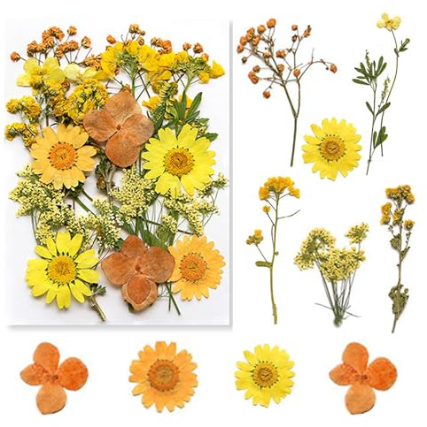 Trockenblumen, Getrocknete Blumen, Trockenblumen Zum Basteln Set ​für DIY Epoxidharz Scrapbook Zubehör Handgemachte Heimdekoration Hochzeit (A)