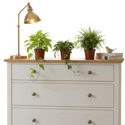 DECOALIVE Pack Natural Helecho, Hiedra y Poto Decoración Viva para Espacios Modernos