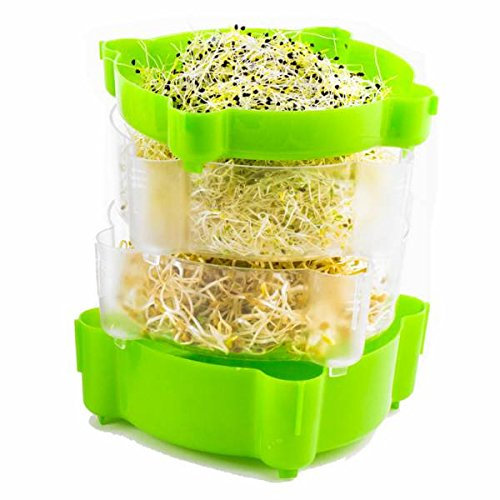 Germogliamo Germogliatore a 2 Livelli + 1