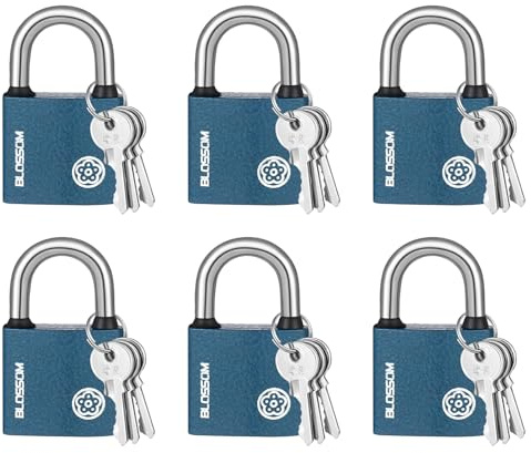 Lot de 6 cadenas d'extérieur à cylindre de 38 mm avec 3 clés par serrure, cadenas robuste pour extérieur résistant aux intempéries, cadenas avec clés pour portes en bois, portes en fer, casiers, etc