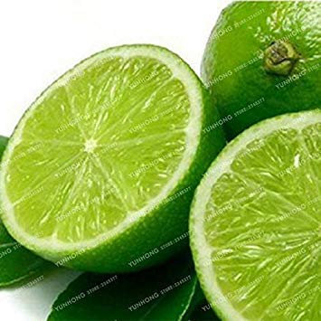 . Lemon Tree Alto Tasso di Sopravvivenza di Frutta Balcone Impianto per Il Giardino Domestico di 20 Parti/Pacchetto: 1