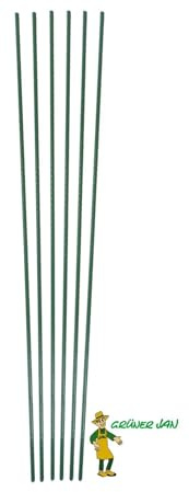 Blumenstab 1 m 6er Set Pflanzenstab Rankhilfe Tomatenstab Metall Garten | BURI Pflanzenstütze kunststoffummantelt und wetterfest für Kletterpflanzen, Stauden und langlebige Gartenpflege