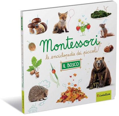 Il bosco. Montessori. Le enciclopedie dei piccoli. Ediz. a colori