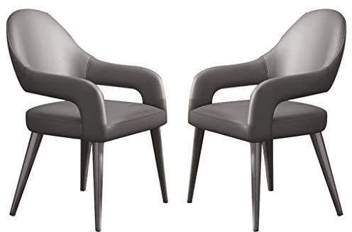 AMENAS Küche Küche Esszimmerstühle 2er Set Moderner Ledersessel mit Eisen Kunst Metall Stuhlbeine für Zuhause Gewerbe Restaurants Wohnzimmer Stühle (Farbe: Alle grau)