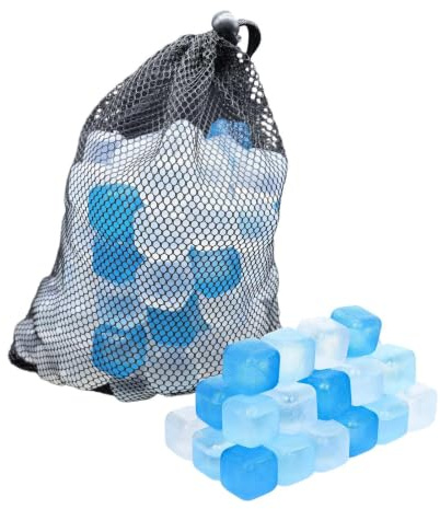Glaçons réutilisables pour glacières 100 Blocs de froid recongelables