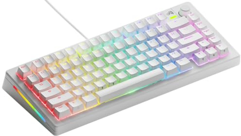 GLORIOUS GMMK 3 TKL 75% Tastiera Meccanica QWERTY ANSI | Frequenza Di Polling Altissima, Scocca Lavorata A Macchina CNC, Architettura Modulare Hotswap E Illuminazione Luce Led RGB