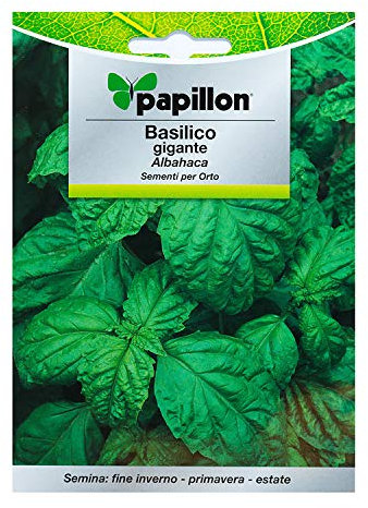 Sementi per orto BASILICO GIGANTE Papillon