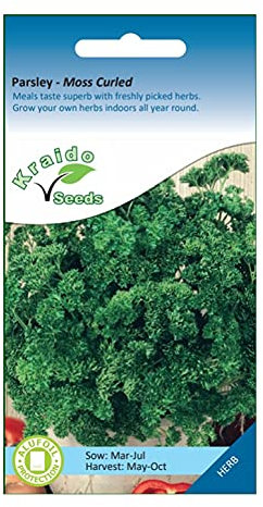Parsley Moss Curled Herb 1500 Seeds Petroselinum Crispum, Grow Your Own Herb Garden Indoors on a Windowsill or Outdoors in Pots and Containers