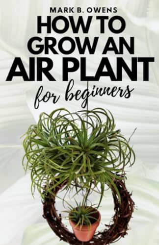 HOW TO GROW AN AIR PLANT FOR BEGINNERS: A Complete Practical Step by Step Guide to everything you need to know about air plants; tips and care instructions for air plant beginners