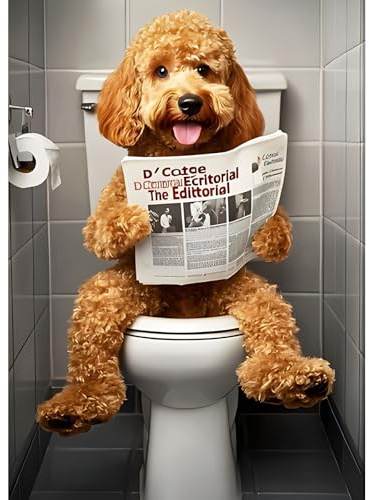 DPHERO DIY Hund Liest Zeitung Diamant Painting Kits Bilder für Erwachsene Anfänger,5D Toilette Diamond Painting Set,DIY Runde Steine Waschraum Diamant Kunst Kits, Diamant Art für Zuhause Dekor 30x40cm