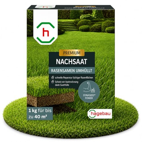 HAGEBAU Rasensamen Nachsaat 1 kg – Rasensamen schnellkeimend für bis zu 40 m² – Grassamen schnellkeimend zur Reparatur kahler Stellen – dichter & strapazierfähiger Rasen – Premium Rasennachsaat