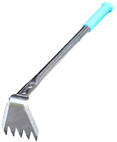 Jardinage en acier inoxydable - Petite houe - Outils de légumes ménagers - Pour creuser les pousses de désherbage - Pioche agricole - Râteau à double usage - Destructeur de pissenlits pour pelouse (B,