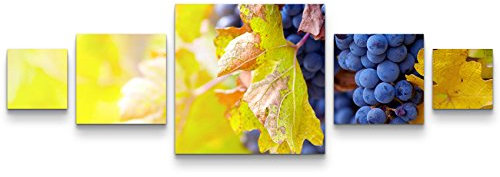 Paul Sinus Art Leinwandbilder | Bilder Leinwand 160x50cm Blaue Weinrebe im Herbst