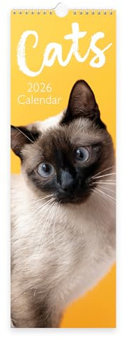 Calendrier mural fin 2026 avec motif chats | Planificateur mensuel avec adorables photos de chat et chaton | Tigré, siamois, bleu russe et plus encore | Reliure à spirale avec boucle de suspension