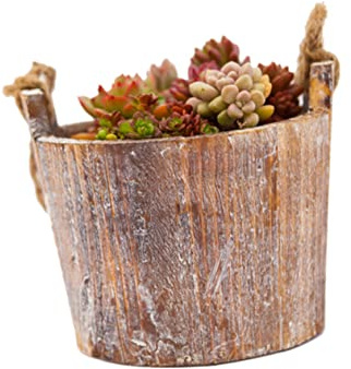 GARIOUANS Maceta De Madera Colgante para Plantas Suculentas y Ornamentales, Maceta De Madera Natural Pequeña Cuerda De Yute, Decoración Interior Multifuncional para Oficina y Hogar