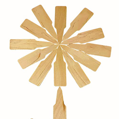 Wooden Plant Labels x 50 | 100% Biodegradable | 50 Seedling Plant and Garden Labels | 9.5cm by 2.5cm