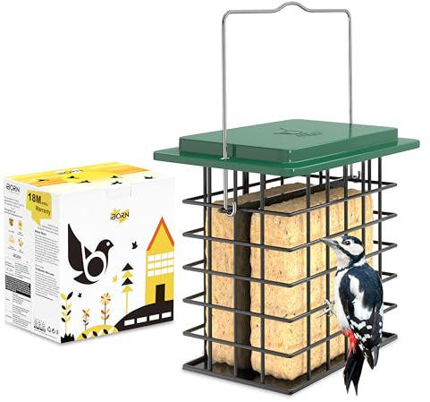 iBorn Double Suet Feeder- Metal Roof Bird Feeder with Taller Grid for Woodpeckers, Suet Cake Cage Bird Feeder for Outdoors Hanging,Easy-Clean & Refill,Green (1 Pack)