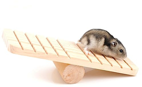 Happyyami Balancín De Madera para Hámster y Pequeñas Mascotas Juguete Masticable para Roedores Plataforma Divertida y Resistente para Jaulas y Espacios