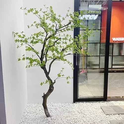 Cloche japonaise artificielle simulée, plante d'olivier faite à la main, parfait grand arbre en soie topiaire pour décoration intérieure d'entrée, maison, bureau, patio, porche, balcon, cadeau
