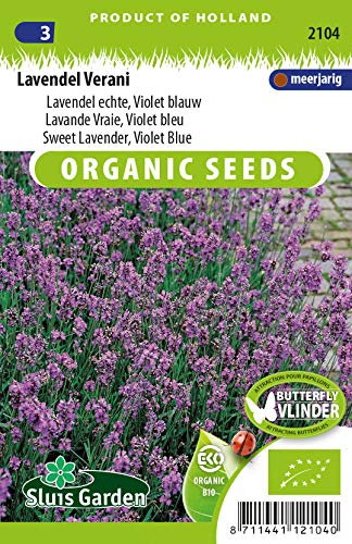Lavande Vraie, violet bleu - Graines Biologiques