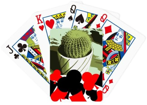 no/no Cactus mexicain - Symbole de fleur solide - Jeu de cartes à jouer classique
