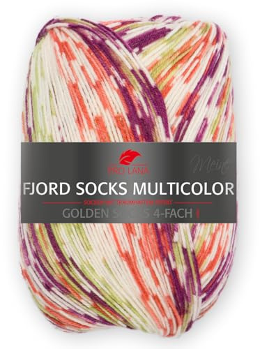 Pro Lana FJORD SOCKS MULTICOLOR - Ovillo de lana para calcetines (100 g, 4 capas, 425 m), color 480