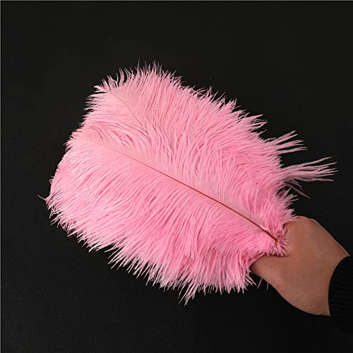10 Stück 25-30cm Natürliche Straußenfedern,Strauß Feder zum Basteln,Bastel Federn für DIY Traumfänger Zubehör,Heimdekoration,KostüMe,Tischdeko Hochzeit Party Fest Hüte Kleidung Dekoration,Rosa