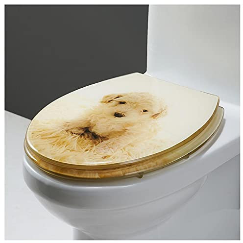 AAGAZA Patterned Toilet Seat, Resin Toilet Seat With Metal Hinge, Universal Oval Standard O-shape, Theme Toilet Seat, Comfortable Toilet Seat,E-Open/414 (Color : D, Size : Open)