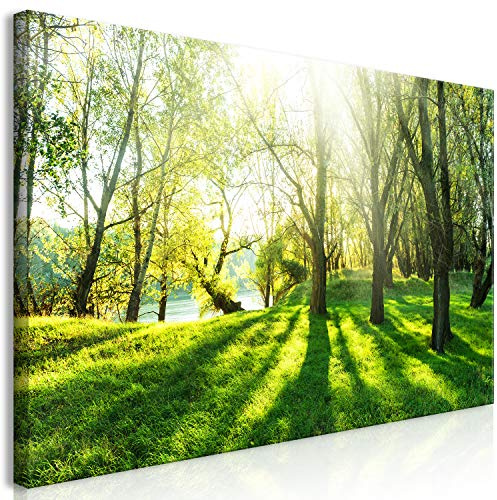 B&D XXL - Leinwandbild DIY Wohnung Natur, Schlafzimmer, Wohnzimmer, modern | Hochwertige Leinwand, sofort aufhängbar, ideal fürs Wohn- oder Schlafzimmer, wasserfest und lichtecht, langlebig, stilvoll
