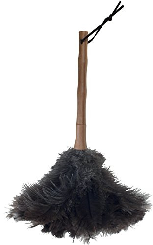 MSV Staubwedel Bambusgriff Feder Staubwischer Strauss Natur Straußenfedern 56 cm Bambus, Brown, 65 cm