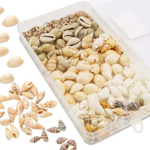 Raxfekro 120 Stück Muscheln Deko mit Loch 6 Stile zum Basteln Natürliche Muschelperlen für Schmuck Kaurismuscheln zum Auffädeln 12-15mm