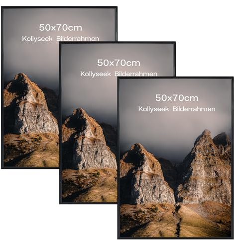 kollyseek 3 Pack 50x70cm Bilderrahmen Moderner Posterrahmen mit kratzfesten Acrylgläsern für horizontale oder vertikale Wandmontage (Schwarz)