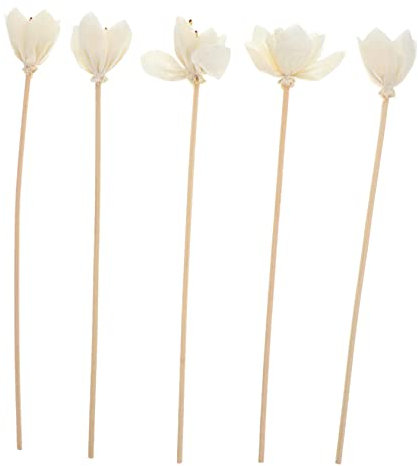 Cabilock 5 Piezas Accesorios De Aromaterapia Vides De Ratán para Aromaterapia Ratán Aromático Varillas Difusoras para Ambientador Varillas Uso