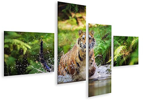 islandburner cuadro sobre lienzo tigre siberiano corriendo río salpicaduras agua caza animal orando antes de grandes imágenes naturaleza murales carteles