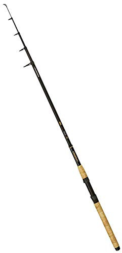 2,40m Trophy Tele 20g 70g
