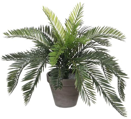 Mica decorations Cycas Palme Gruen in Topf Stan grau d13,5cm - h37cm