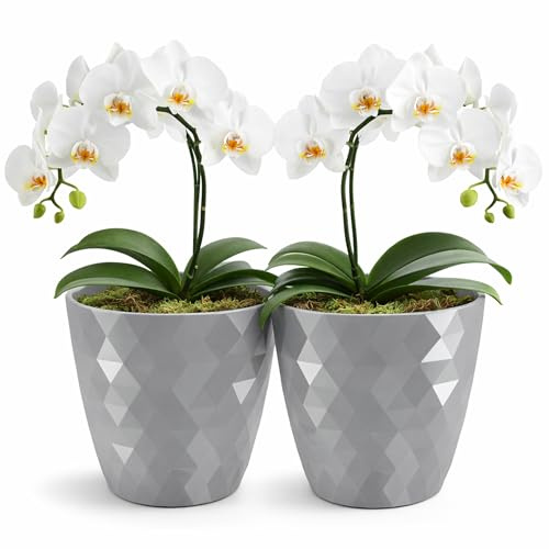 PECZEKO glänzender Blumentöpfe, Kunststoff-Pflanzentöpfe, dekorativer Blumentopf für große und kleine Blumen, 2er-Set Blumentöpf, Pflanztopf, Kräutertopf, (2 Pack) Grau, ø 12 cm