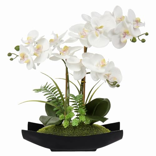 Briful White Orchid Artificial Flowers in Black Pot Fake Orchid White Phalaenopsis Silk Flower Arrangement Artificial Orchid Plants Indoor for Home Office Kitchen Bedroom Wedding Decor