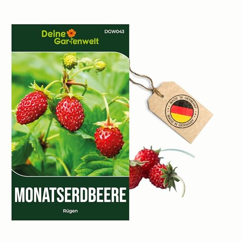 Monatserdbeeren Rügen Samen - Fragaria vesca - Erdbeersamen - Obstsamen - Saatgut für 100 Pflanzen – 3er Pack