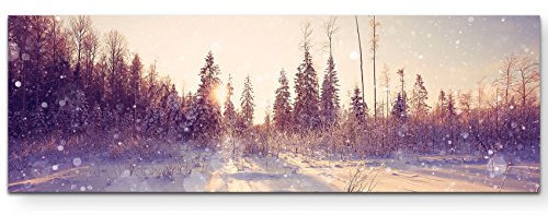 Paul Sinus Art Leinwandbilder | Bilder Leinwand 150x50cm Winterlandschaft