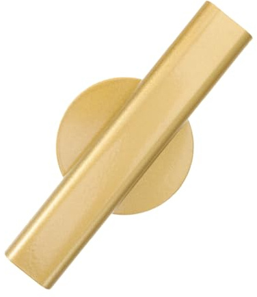 TOYANDONA Fioriera da Parete in Ferro Rustica, Vaso da Muro Robusto per Piante Verdi e Fiori Secchi, per Uso Domestico in Spazi Interni
