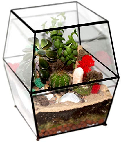 Terrarium Plants UK Pot géométrique en verre pour cactus et plantes succulentes avec couvercle Fait à la main en Angleterre Taille L Noir