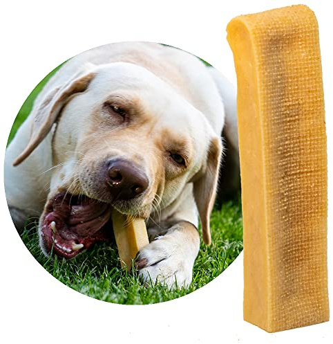 Petsoo® schmackhafter Käsekauknochen aus Hartkäse XXL für große Hunde - Kauknochen im Churpi Style aus norddeutscher Kuhmilch Kaukäse Kaustab (1)