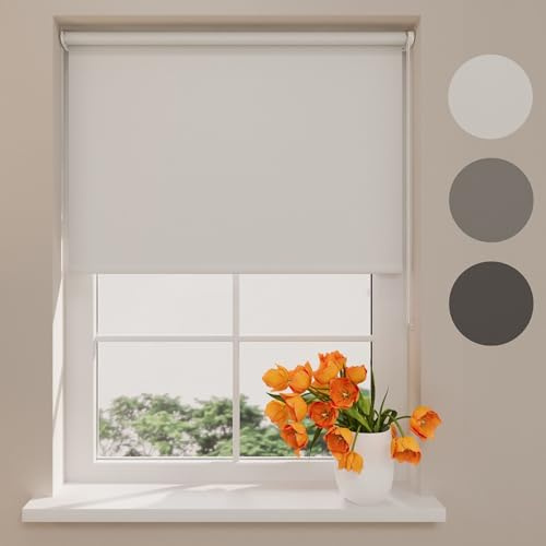 Radeco® Verdunklungsrollo ohne Bohren klemmfix 110 x 150 cm (BxH) hellgrau, Fenster rollos für innen, Rollo ohne Bohren, klemmrollo, fensterrollo, verdunkelungsrollo, rollos für Fenster ohne Bohren