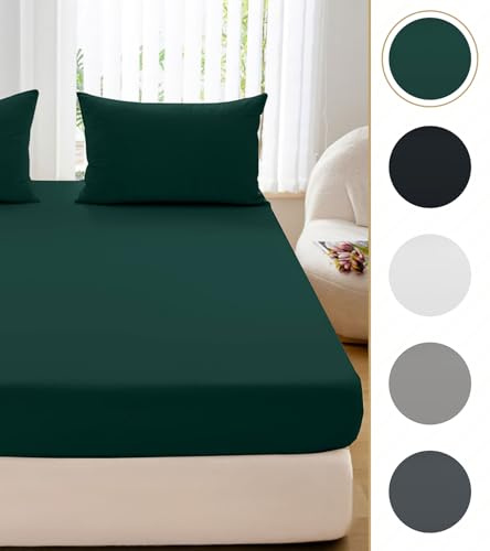 Cotton Market Spannbettlaken 160x200x25 cm - Bettlaken mit Gummiband - Spannbetttücher für Schlafzimmer - Jersey Bettlaken - Baumwolle Spannbettlaken - Flaschengrün