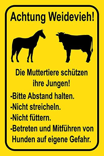 DekoDrom® Holz Schild 20x30 cm Achtung Weidevieh Abstand halten nicht Streicheln Hinweisschild Tierliebe Spruch Wand Deko Bar Kneipe Cafe Sammler Geschenk