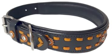 JF-Reitsport Leder Hundehalsband im Western-Design, Handgefertigt Trend Robust Breit (S 12-15 Inches)