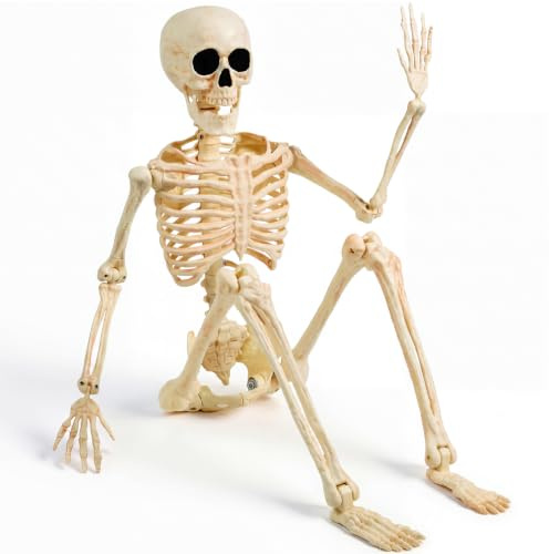 JOYIN 91,4 cm große bewegliche Halloween-Skelette, Plastikskelette mit beweglichen Gelenken für den ganzen Körper, Skelett-Halloween-Dekoration für Haus, Hof, Friedhof, Spukhaus, Partygeschenk