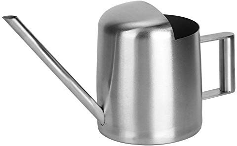 Cocoarm Regadera de Acero Inoxidable de 300 Ml, Gran Capacidad, Control Preciso, Diseño Ergonómico, Material de Primera Calidad, Multiusos con Suculentas de Interior, Fácil de Llenar