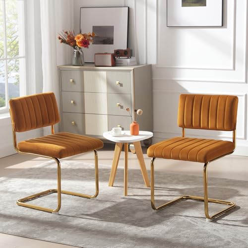 Zibeths Velvet Cantilever Dining Chair Set of 2, Comfortable Living Room Chairs with Backrest Upholstery Design and Gold Metal Frame for Kitchen Space, Gold and Brown